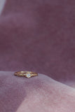 Promise