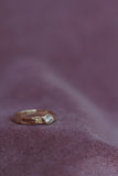 Entwine