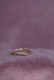 Always With Me